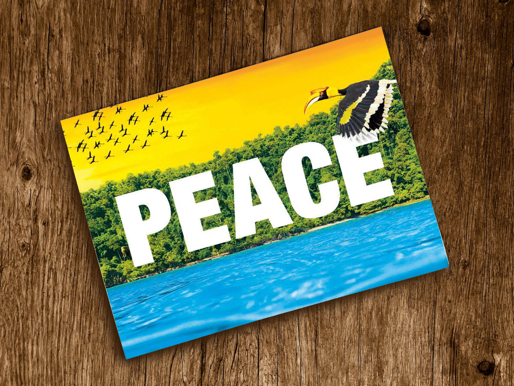 Direktmailing «Peace» für Greenpeace