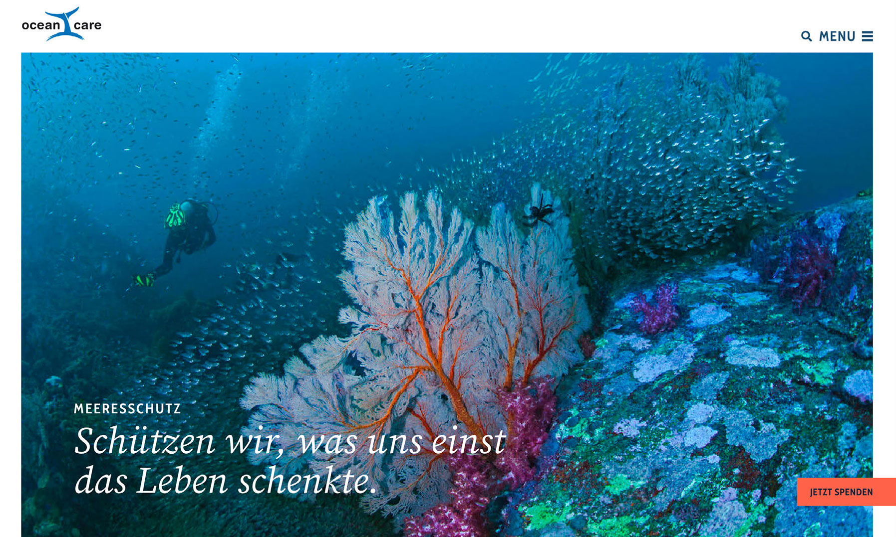 Moodbild Redesign Oceancare Webseite