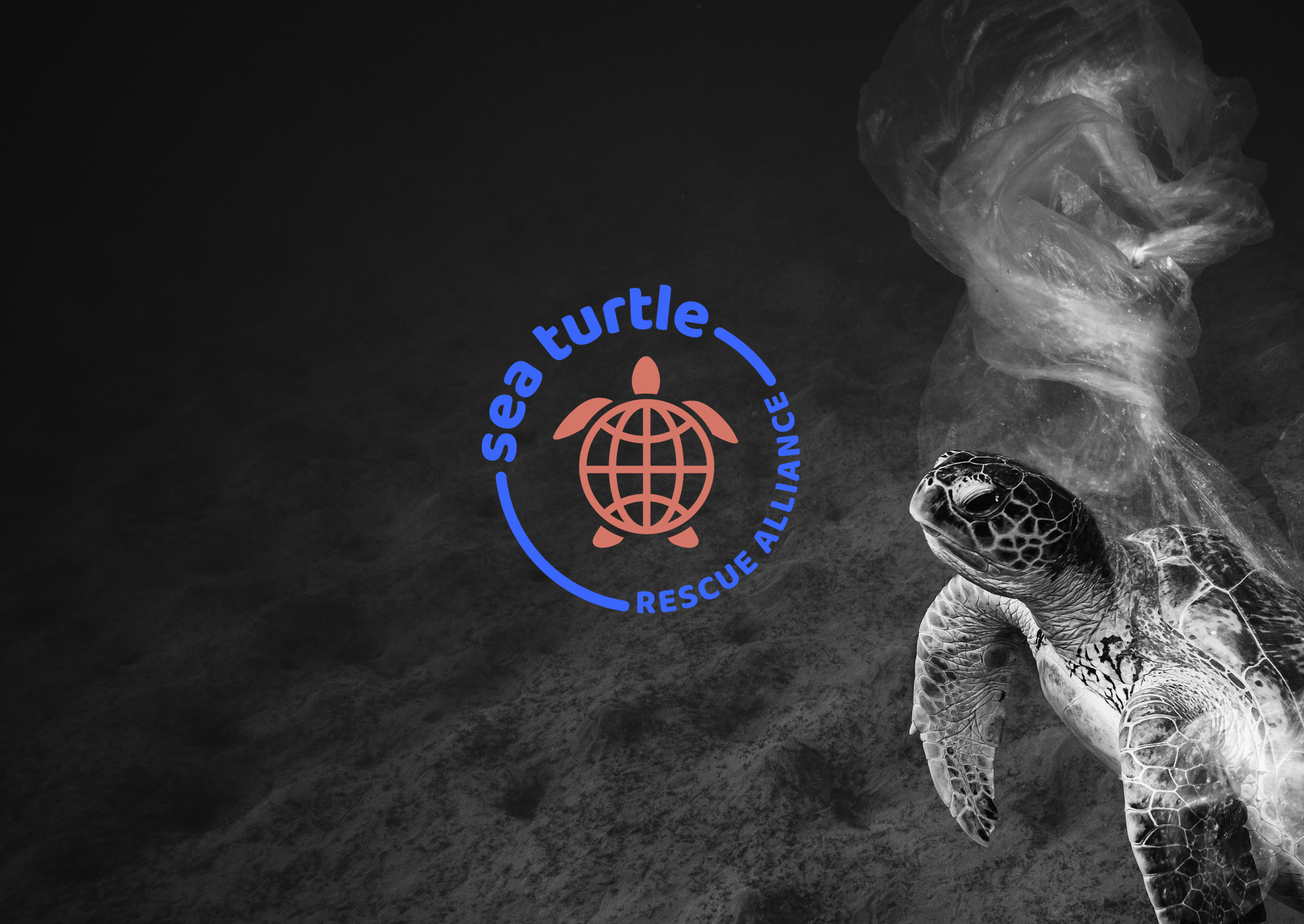 Corporate Design für Sea Turtle Rescue Alliance